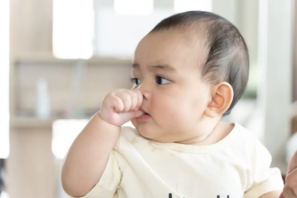 Small child sucking a finger, Baby