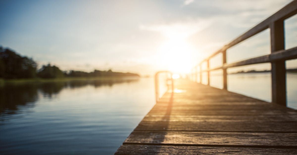 découvrez comment la lumière du soleil influence notre quotidien, régule notre humeur et contribue à la santé de notre peau. explorez les bienfaits du sunlight et apprenez à optimiser son utilisation pour un mode de vie plus sain.