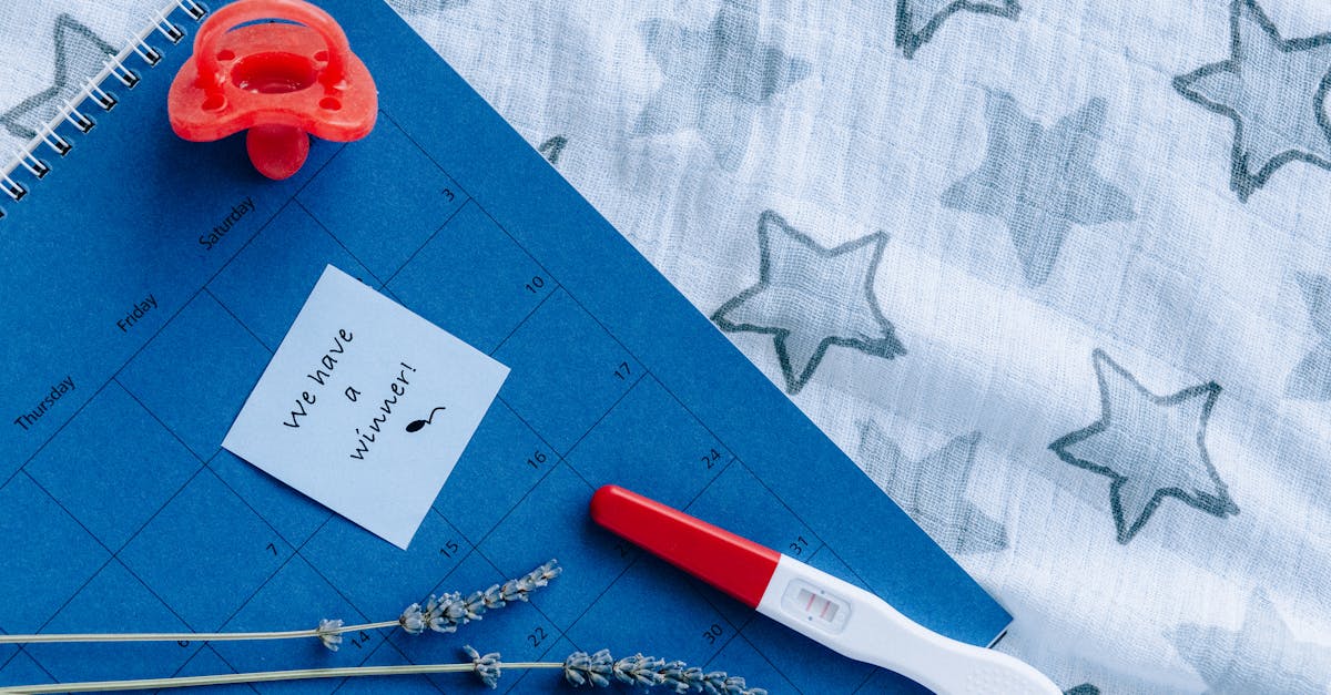 découvrez notre sélection incontournable d'articles essentiels pour bébé. de la puériculture aux vêtements, retrouvez tout ce qu'il faut pour assurer confort et bien-être à votre petit trésor.