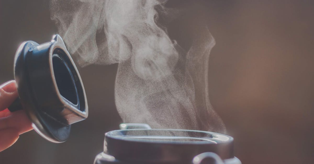 découvrez l'art de la cuisson à l'eau bouillante : techniques, astuces et recettes pour maîtriser cette méthode culinaire essentielle. apprenez à faire bouillir vos aliments de manière optimale pour des plats savoureux et sains.