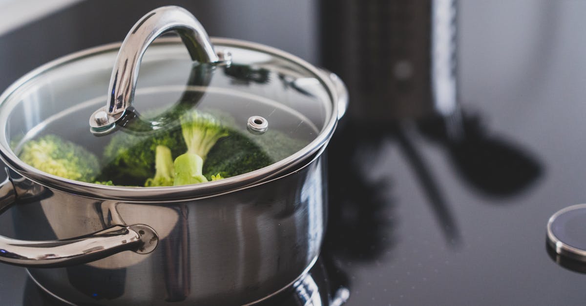 découvrez l'art de faire bouillir vos aliments avec des techniques et conseils pratiques. apprenez à maîtriser la cuisson à l'eau pour des plats savoureux et en pleine santé.