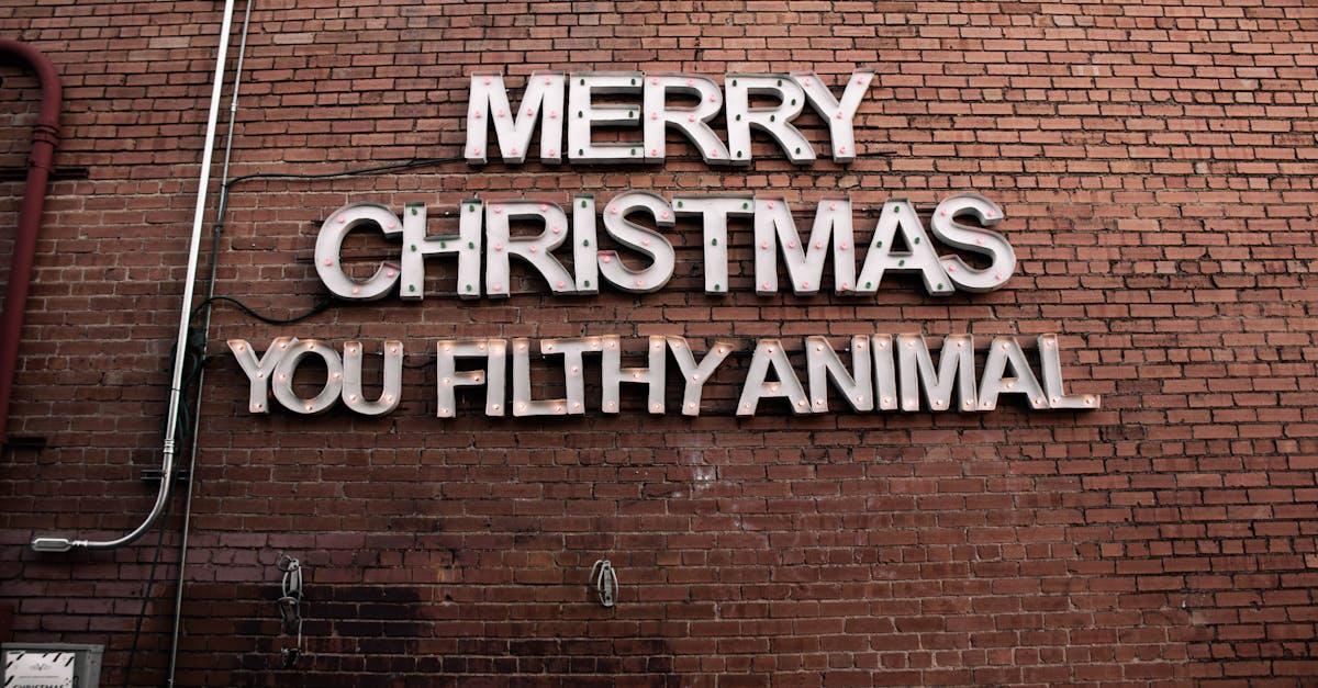 découvrez les films de noël incontournables qui mettent en avant la magie des fêtes. des histoires émouvantes et des comédies festives pour toute la famille qui illumineront votre saison. plongez dans l'esprit de noël avec notre sélection de classiques et de nouveautés à ne pas manquer !