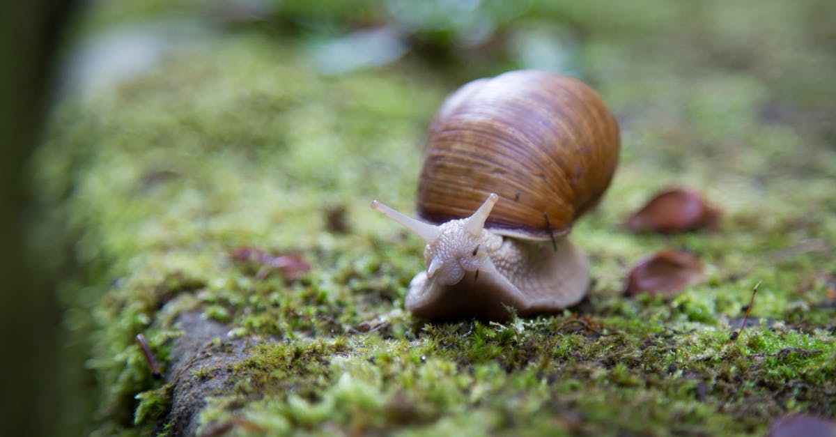 découvrez le crawling, technique essentielle en seo qui permet aux moteurs de recherche d'explorer et d'indexer les pages de votre site. apprenez comment optimiser vos contenus pour améliorer votre visibilité en ligne.