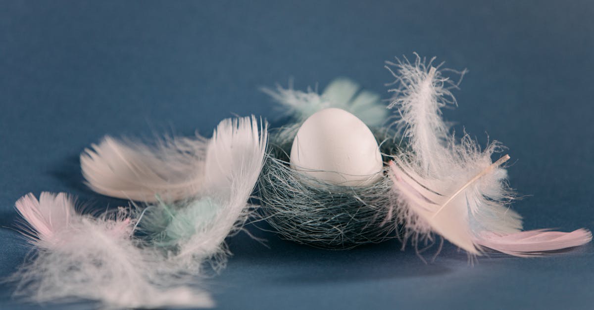 découvrez des idées créatives et inspirantes pour la décoration des œufs de pâques. transformez vos œufs en véritables œuvres d'art avec des techniques variées et des matériaux originaux pour célébrer cette fête de manière festive et colorée.