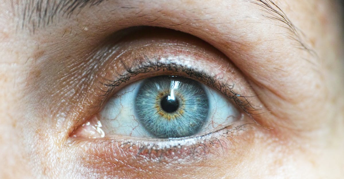 découvrez des conseils essentiels pour préserver la santé de vos yeux. apprenez à prévenir les problèmes oculaires et à adopter de bonnes habitudes pour maintenir une vision optimale tout au long de votre vie.