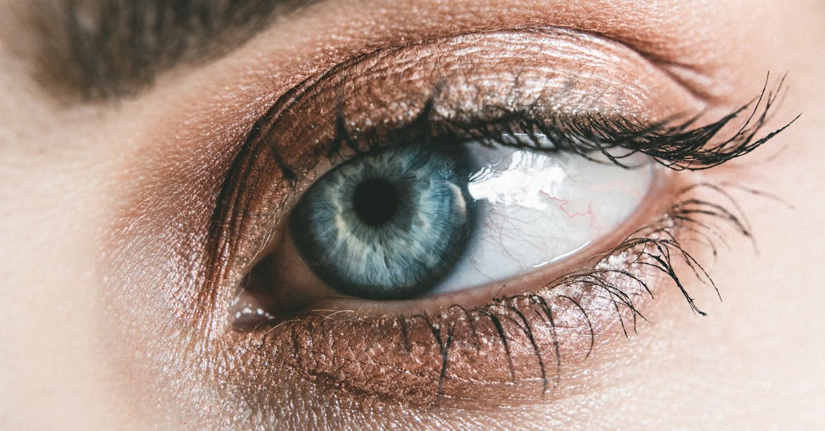 découvrez des conseils et des informations essentielles pour prendre soin de votre santé oculaire. apprenez comment préserver votre vision, détecter les problèmes liés aux yeux et adopter des habitudes saines pour un bien-être visuel optimal.