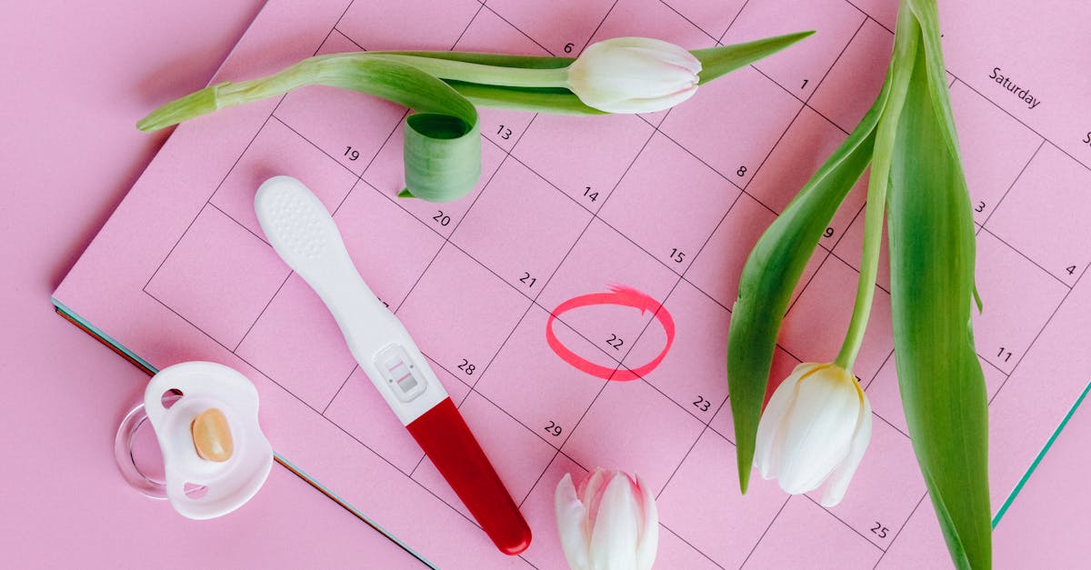 découvrez des informations essentielles sur la fertilité, y compris les facteurs qui l'influencent, les traitements disponibles et des conseils pour améliorer vos chances de concevoir. explorez nos ressources pour mieux comprendre la santé reproductive.