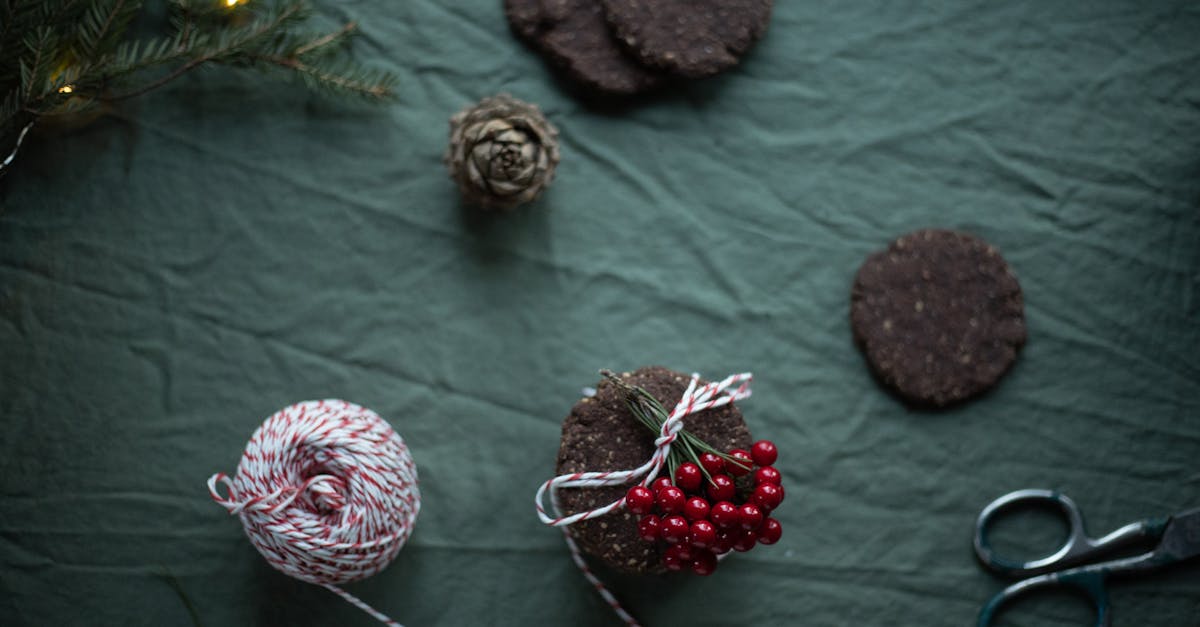 découvrez des idées de décorations de noël faites maison avec notre guide diy. créez des ornements uniques et personnalisés pour embellir votre sapin et ajouter une touche personnelle à vos célébrations. inspirez-vous de nos tutoriels simples et créatifs pour un noël mémorable !