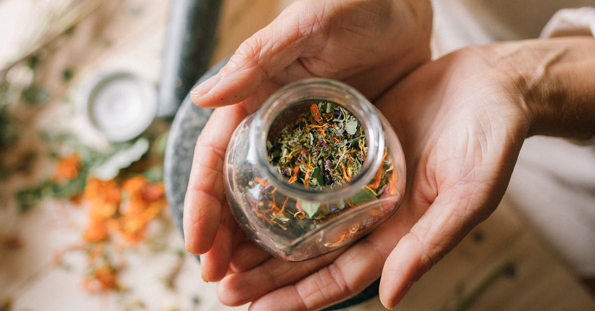 découvrez des remèdes naturels efficaces pour améliorer votre santé et votre bien-être. explorez des solutions à base de plantes, d'huiles essentielles et d'autres ressources naturelles pour soulager divers maux et renforcer votre organisme.