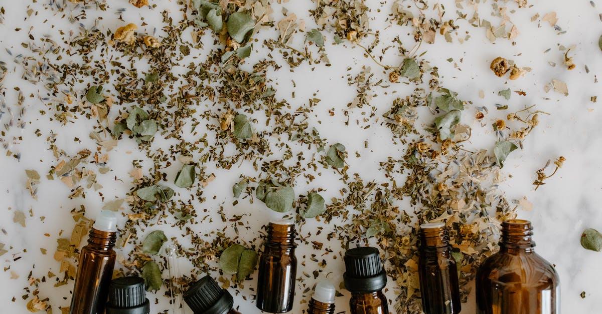 découvrez des remèdes naturels efficaces pour améliorer votre bien-être au quotidien. explorez des solutions à base de plantes, huiles essentielles et autres techniques alternatives pour apaiser les maux courants et renforcer votre santé de manière naturelle.