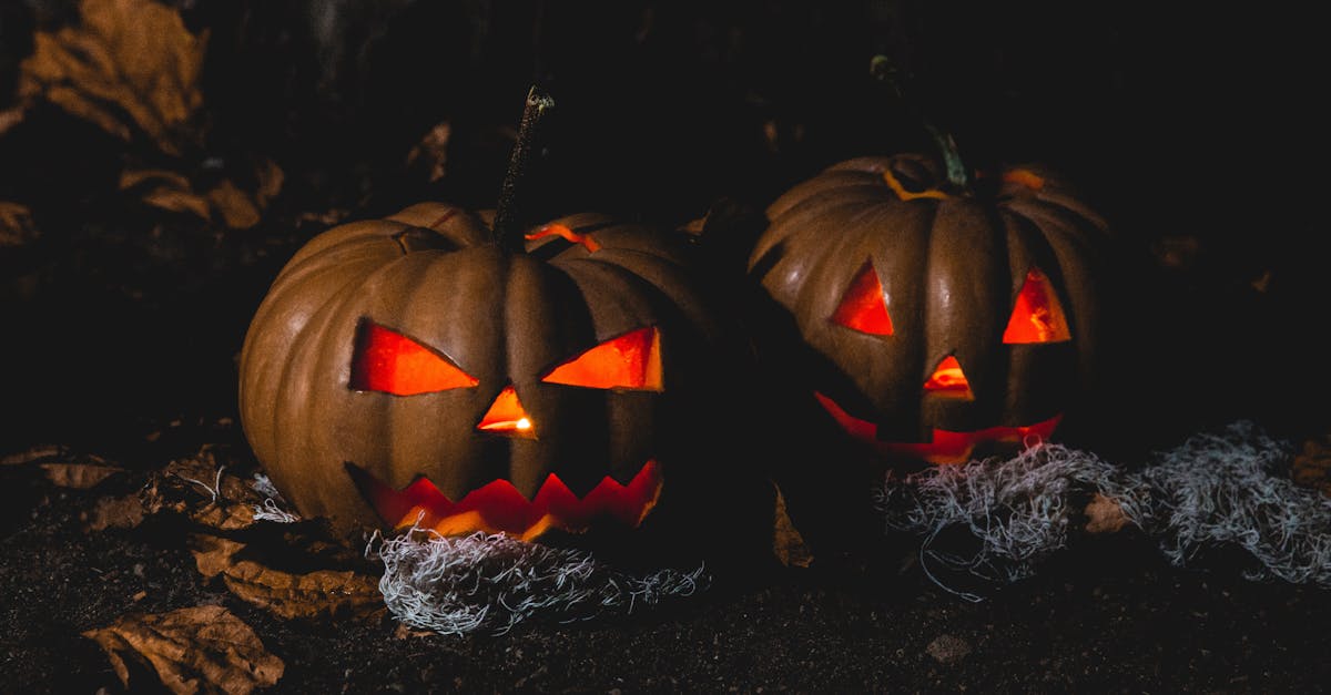 découvrez des idées créatives pour la décoration de citrouilles, parfaites pour halloween ou pour embellir votre automne. transformez vos citrouilles en œuvres d'art uniques avec des astuces simples et des inspirations originales!