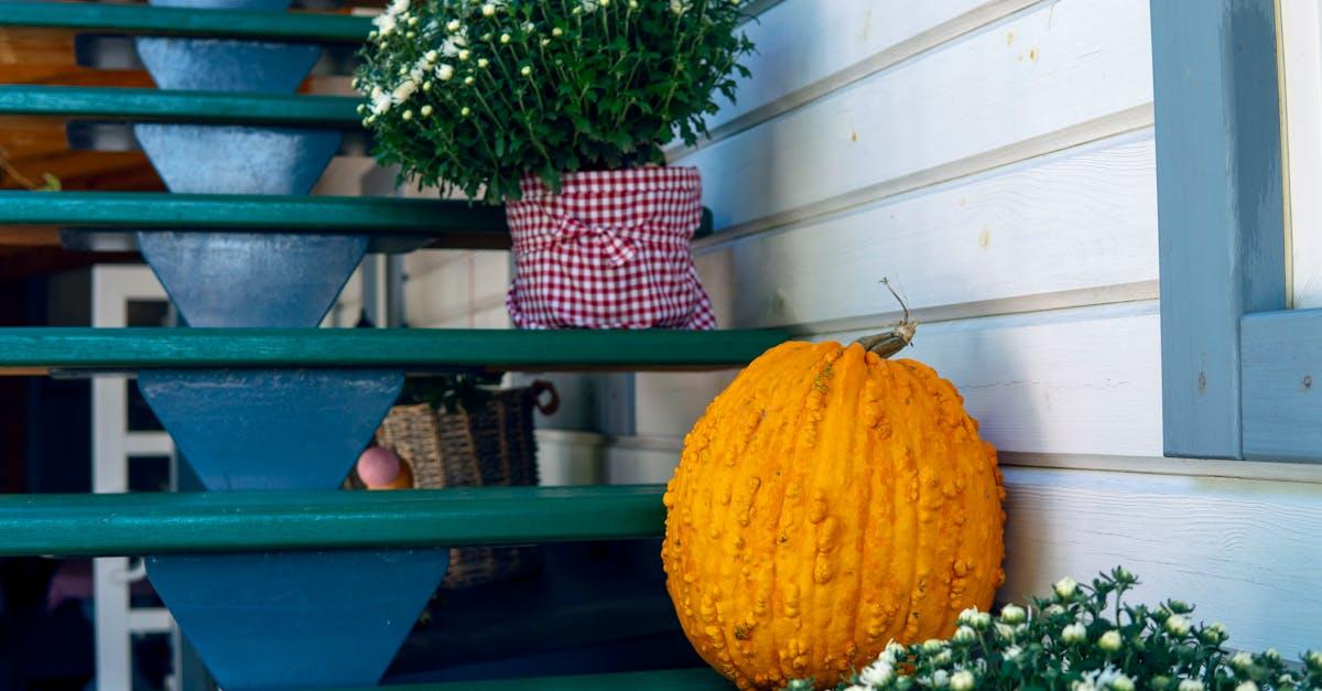 découvrez des idées créatives et inspirantes pour la décoration de citrouilles. transformez vos citrouilles en œuvres d'art uniques pour halloween ou pour embellir votre maison durant l'automne avec nos astuces et conseils faciles.