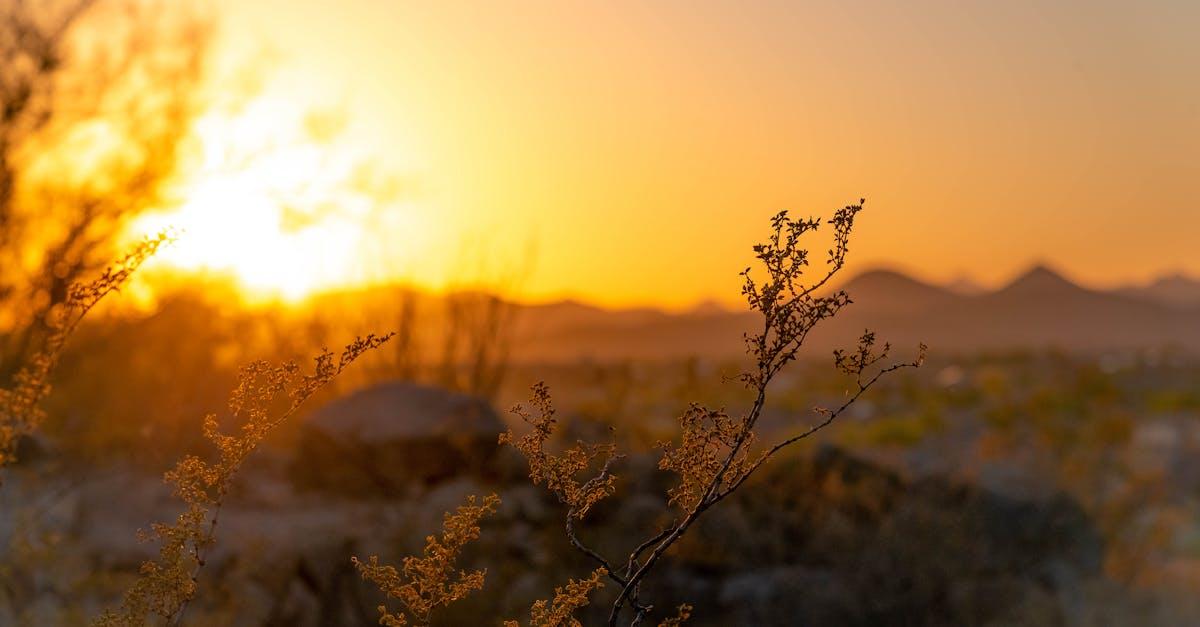 découvrez l'importance et les bienfaits de la lumière naturelle dans votre quotidien. apprenez comment le soleil peut influencer votre humeur, votre santé et votre environnement.