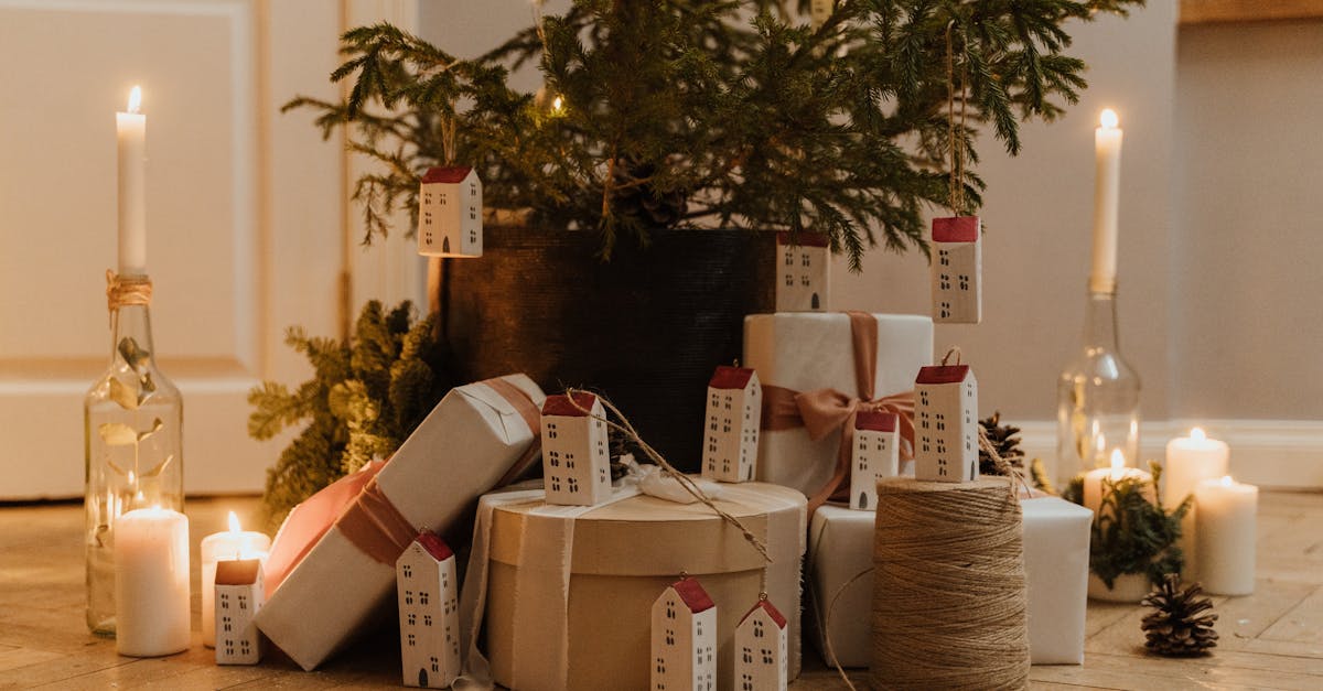 découvrez notre sélection de cadeaux durables qui allient écologie et élégance. offrez des présents respectueux de l'environnement tout en faisant plaisir à vos proches. adoptez un mode de vie plus responsable avec des options de cadeaux qui préservent la planète.
