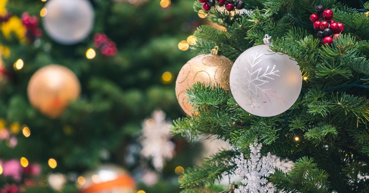 découvrez notre sélection de décorations de noël uniques et festives pour embellir votre maison. trouvez des guirlandes scintillantes, des ornements élégants et des accessoires chaleureux pour créer une atmosphère magique pendant les fêtes. transformez votre intérieur en un véritable paradis de noël !