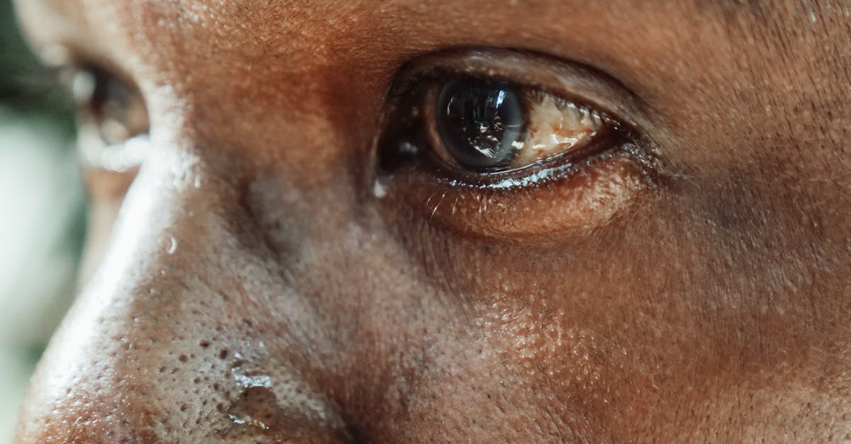 découvrez le pouvoir des larmes dans notre exploration émotionnelle. 'tears' vous plonge dans un voyage captivant à travers la tristesse et la catharsis, révélant comment chaque goutte raconte une histoire unique. éveillez vos sens et laissez-vous émouvoir par cette réflexion poignante sur les pleurs et leur signification.