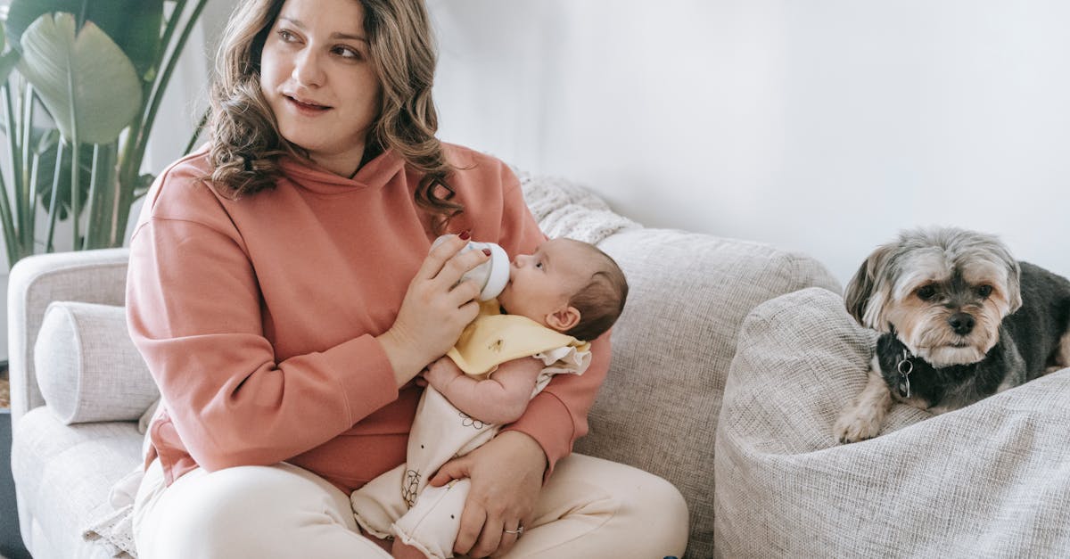 découvrez comment introduire un bébé à votre chien en toute sécurité et avec succès. apprenez des conseils pratiques pour créer une relation harmonieuse entre votre enfant et votre compagnon à quatre pattes.