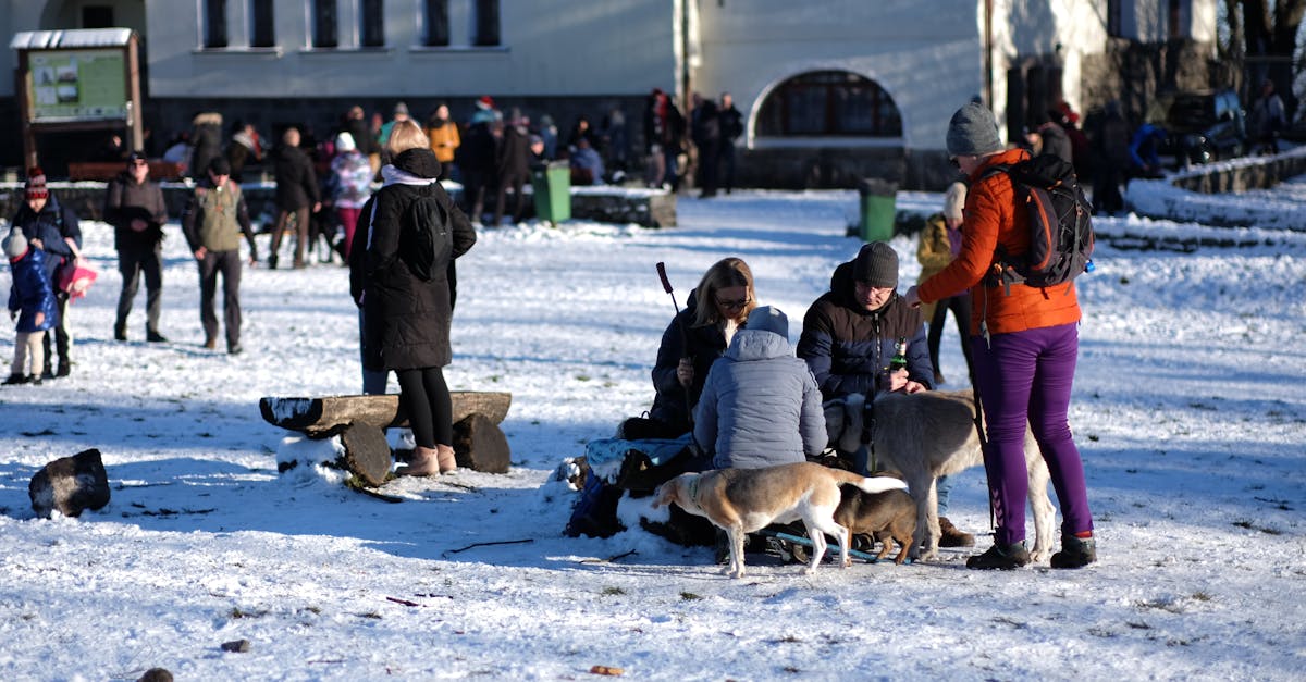 découvrez les meilleures activités d'hiver pour profiter pleinement de la saison froide. que vous aimiez le ski, les randonnées en raquettes ou les plaisirs de la neige, explorez nos idées pour des moments inoubliables en plein air.