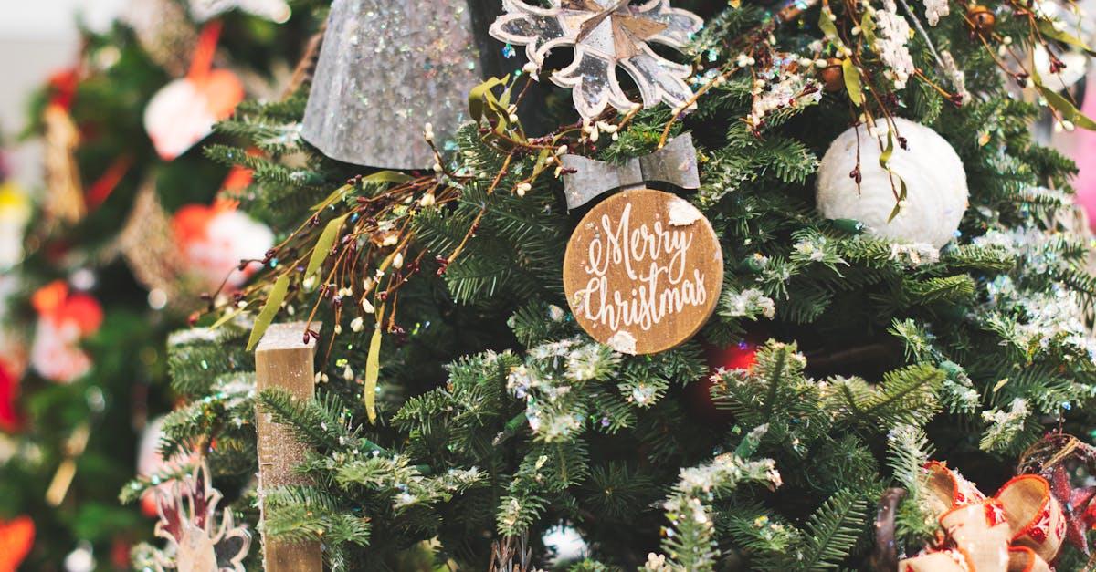 découvrez notre collection de décorations de noël uniques pour embellir votre maison pendant les fêtes. que ce soit des guirlandes scintillantes, des ornements traditionnels ou des accessoires modernes, trouvez l'inspiration pour créer une ambiance festive et chaleureuse. donnez vie à votre esprit de noël !