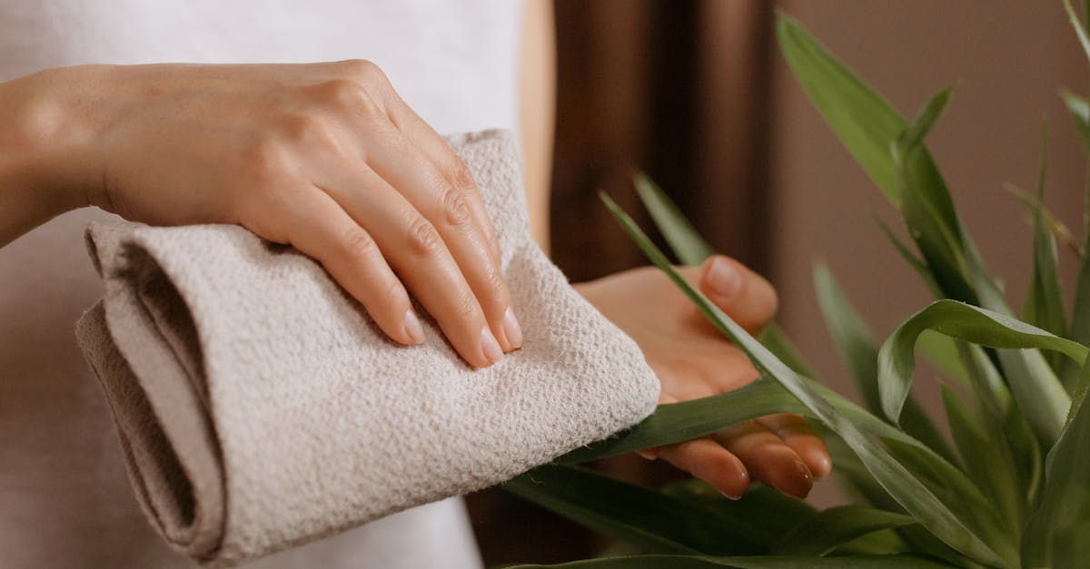 découvrez nos lingettes éco-responsables, conçues pour allier efficacité et respect de l'environnement. parfaites pour un nettoyage facile tout en réduisant votre empreinte écologique.