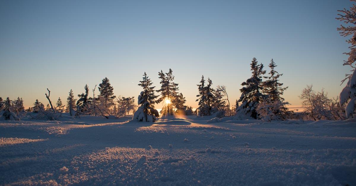 découvrez les causes, symptômes et traitements de l'engelure, une affection cutanée douloureuse causée par le froid. informez-vous sur les moyens de prévention et les soins à apporter pour protéger votre peau durant l'hiver.
