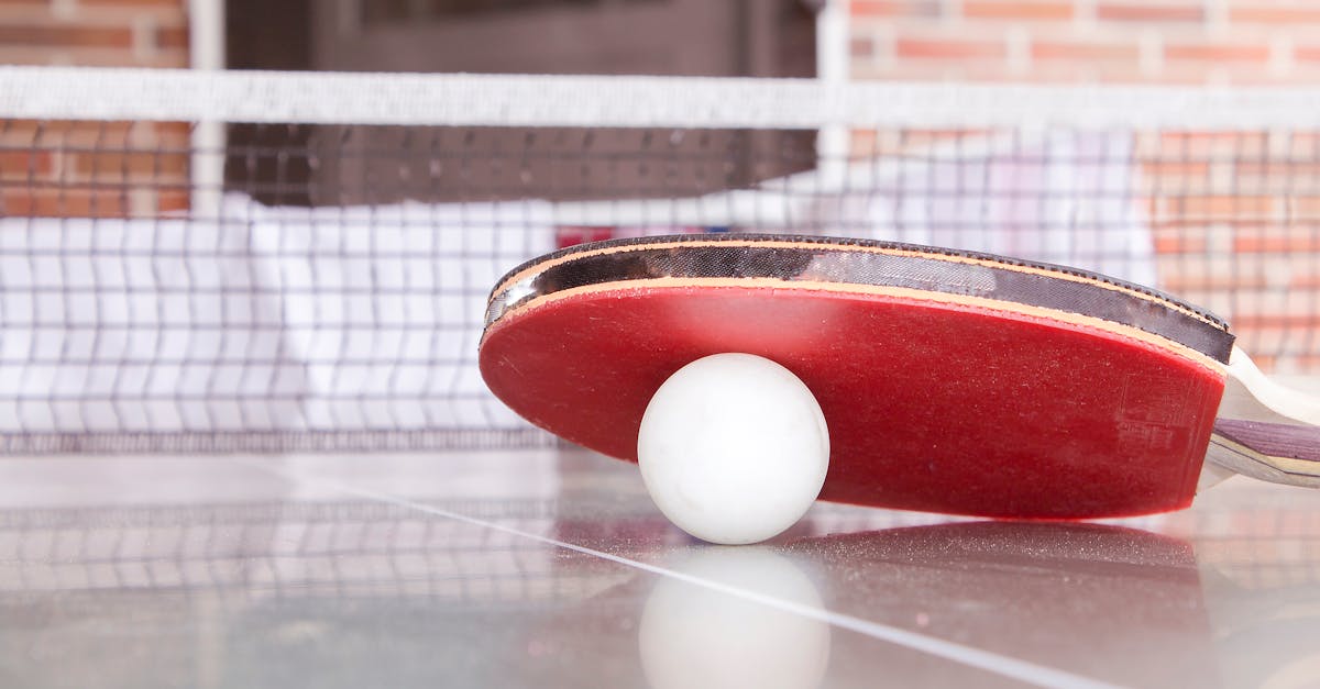 découvrez l'univers fascinant des jeux de balle, allant des classiques tels que le football et le basketball aux variantes innovantes. améliorez vos compétences, apprenez les règles essentielles et plongez dans la diversité de ces sports passionnants qui unissent des millions de joueurs à travers le monde.