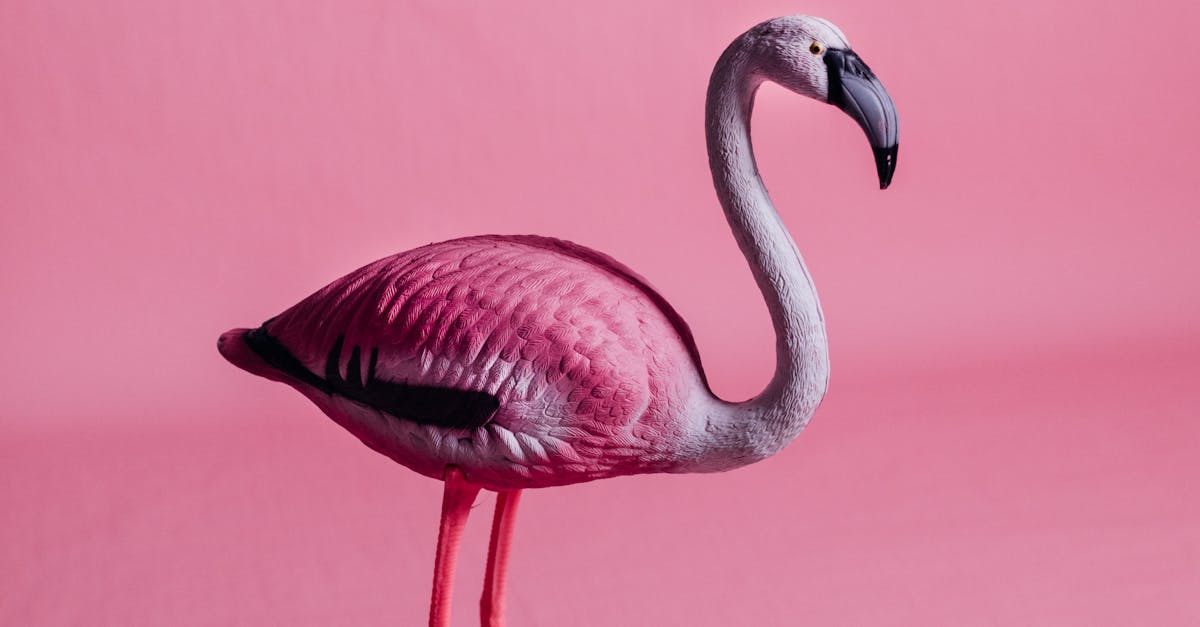 découvrez l'art de l'imitation : une exploration fascinante des techniques et des styles qui permettent de reproduire et d'interpréter des œuvres ou des comportements, tout en ajoutant une touche personnelle. plongez dans le monde créatif de l'imitation, où l'originalité rencontre l'inspiration.