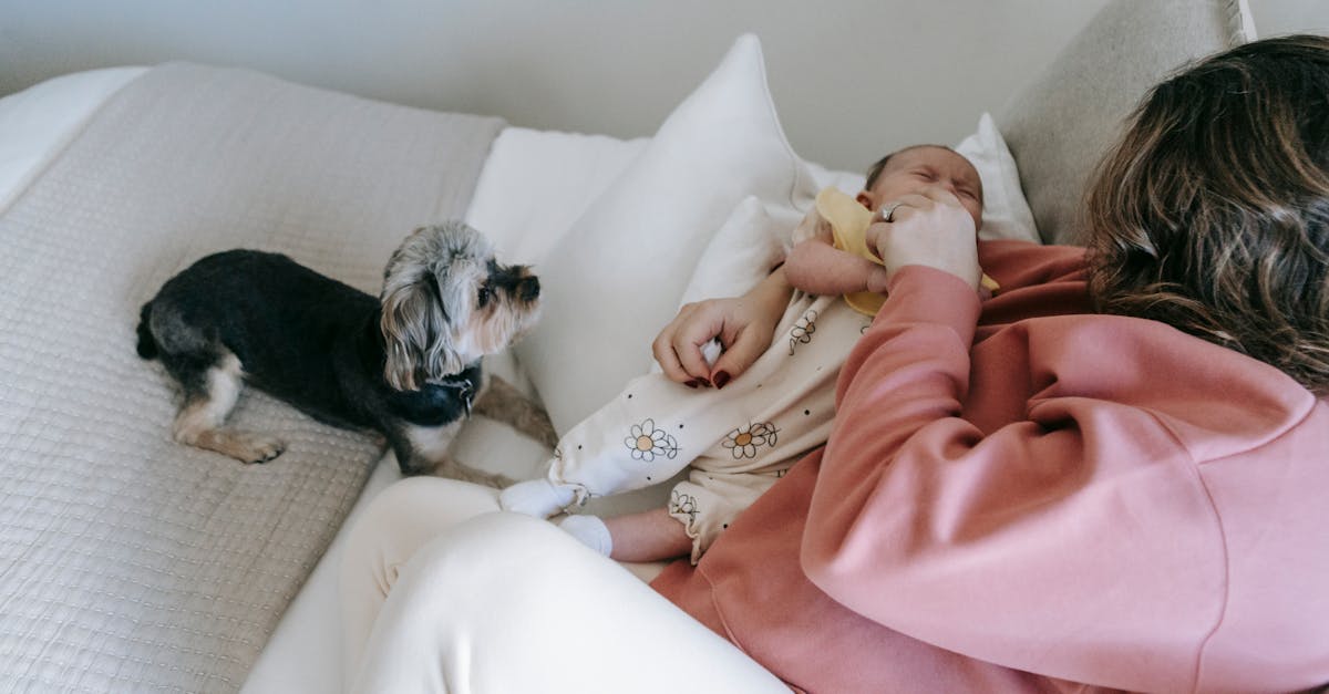 découvrez comment présenter votre bébé à votre chien de manière sécurisée et positive. des conseils pratiques pour favoriser une cohabitation harmonieuse entre votre enfant et votre animal de compagnie.