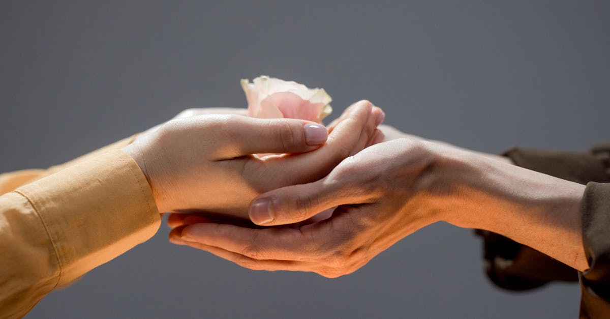 découvrez la puissance de la gentillesse : un guide inspirant sur l'importance des actes bienveillants et leur impact positif sur notre vie quotidienne. apprenez comment un simple geste peut transformer votre environnement et cultiver des relations harmonieuses.