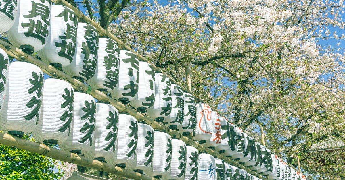 découvrez notre collection de lanternes élégantes et pratiques, idéales pour éclairer vos soirées en plein air ou ajouter une touche chaleureuse à votre intérieur. explorez des designs variés, des matériaux de qualité et des options d'éclairage innovantes pour chaque occasion.