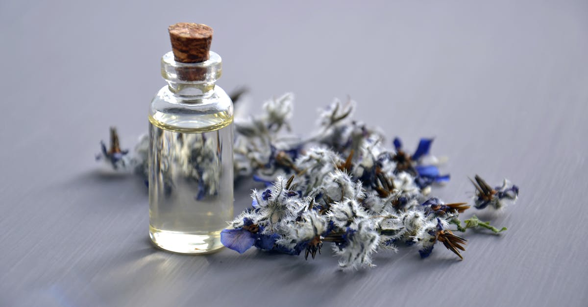 découvrez l'univers apaisant de la lavande, une plante aux multiples bienfaits. explorez ses propriétés relaxantes, son utilisation en aromathérapie, ainsi que ses applications en beauté et en cuisine. plongez dans le monde enivrant des senteurs de lavande.