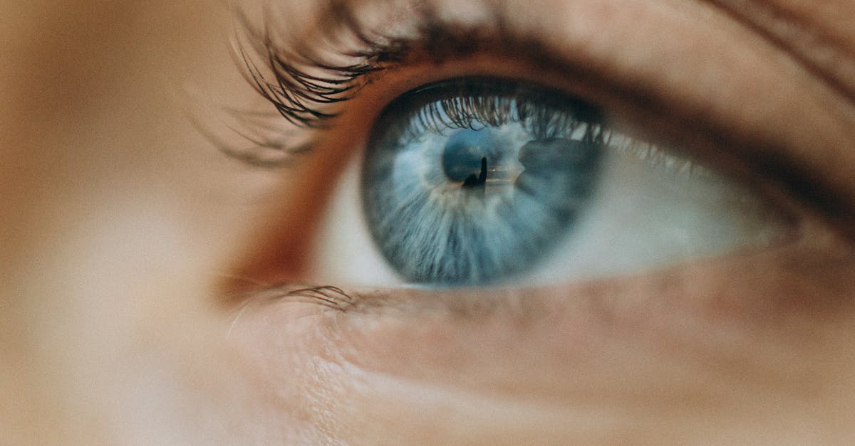 découvrez les changements oculaires : causes, symptômes et traitements. informez-vous sur la santé de vos yeux et apprenez à reconnaître les signes de problèmes oculaires pour une vision optimale.