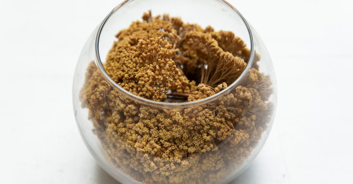 découvrez l'univers parfumé et coloré du potpourri. apprenez à créer votre propre mélange de fleurs séchées et d'épices pour embellir votre intérieur tout en ajoutant des arômes envoûtants. explorez les bienfaits décoratifs et atmosphériques du potpourri, ainsi que des recettes personnalisées pour chaque occasion.
