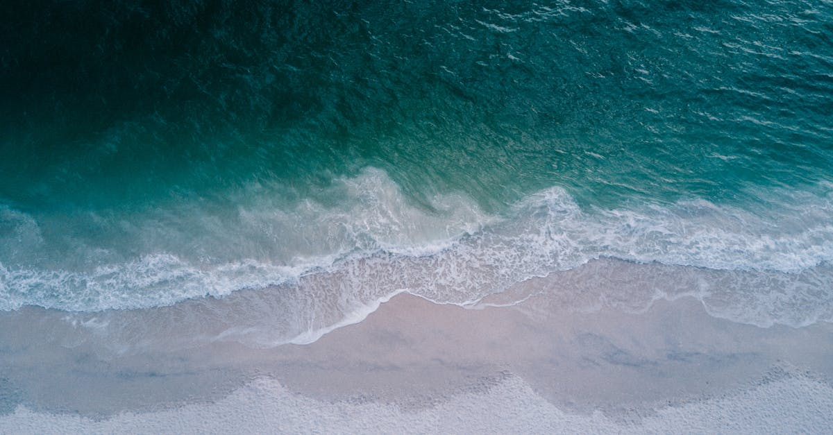 découvrez comment réussir votre transition vers un nouveau mode de vie, que ce soit professionnel, personnel ou environnemental. explorez des conseils pratiques, des témoignages inspirants et des stratégies pour faciliter votre changement.