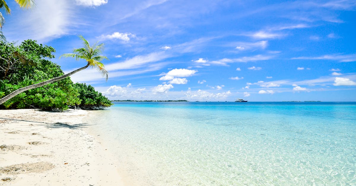 découvrez l'évasion ultime avec notre guide sur les vacances. explorez des destinations de rêve, des conseils pratiques et des idées d'activités pour profiter pleinement de votre temps libre. préparez-vous à créer des souvenirs inoubliables!