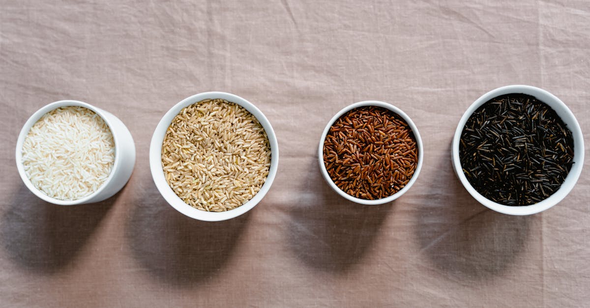 découvrez les bienfaits du riz brun, une alternative nutritive au riz blanc. riche en fibres, vitamines et minéraux, il contribue à une alimentation saine. explorez nos recettes savoureuses et apprenez à l'incorporer facilement dans vos plats quotidiens.