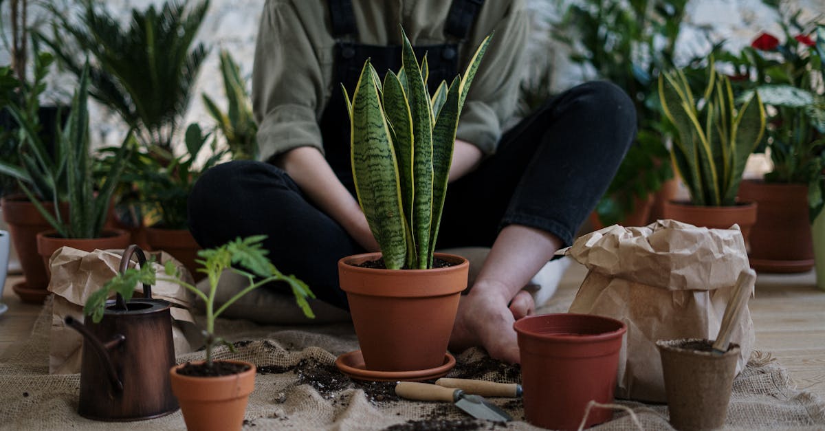 découvrez les défis et les transformations émotionnelles que les adolescents rencontrent durant leur adolescence dans 'growing pains', une exploration poignante des relations, des amitiés et de la quête d'identité.