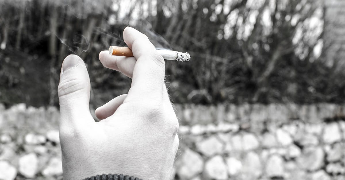 découvrez l'élégance intemporelle du smoking, une pièce incontournable pour les soirées formelles. apprenez comment choisir le bon modèle, assortir les accessoires et porter le smoking avec style pour faire une impression mémorable.