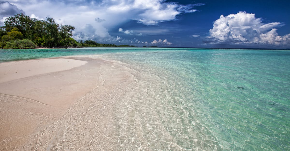 découvrez les plus belles plages du monde, idéales pour se détendre, profiter du soleil et pratiquer des activités nautiques. explorez des paysages paradisiaques, d'eaux cristallines et de sable fin, pour des vacances inoubliables.