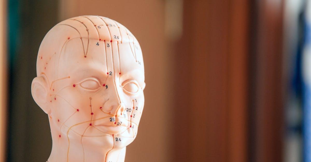 découvrez les bienfaits de l'acupuncture, une pratique millénaire qui soulage le stress, améliore le bien-être et traite diverses douleurs. explorez comment cette méthode naturelle peut vous aider à retrouver l'équilibre et la sérénité.