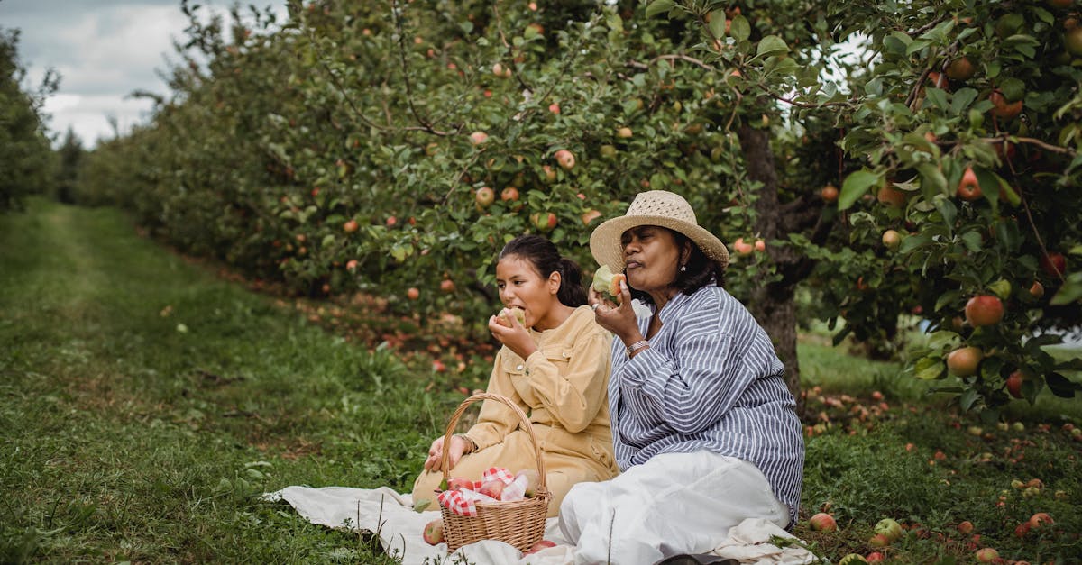 découvrez le plaisir de la cueillette des pommes dans des vergers idylliques. profitez d'une journée en pleine nature, récoltez des pommes juteuses et savourez des moments inoubliables en famille ou entre amis. rejoignez-nous pour une expérience automnale authentique!