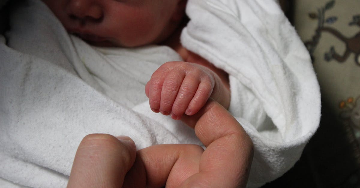 découvrez tout ce qu'il faut savoir sur l'introduction des bébés poissons dans votre aquarium. apprenez les meilleures pratiques pour assurer leur croissance et leur bien-être dans ce guide complet.