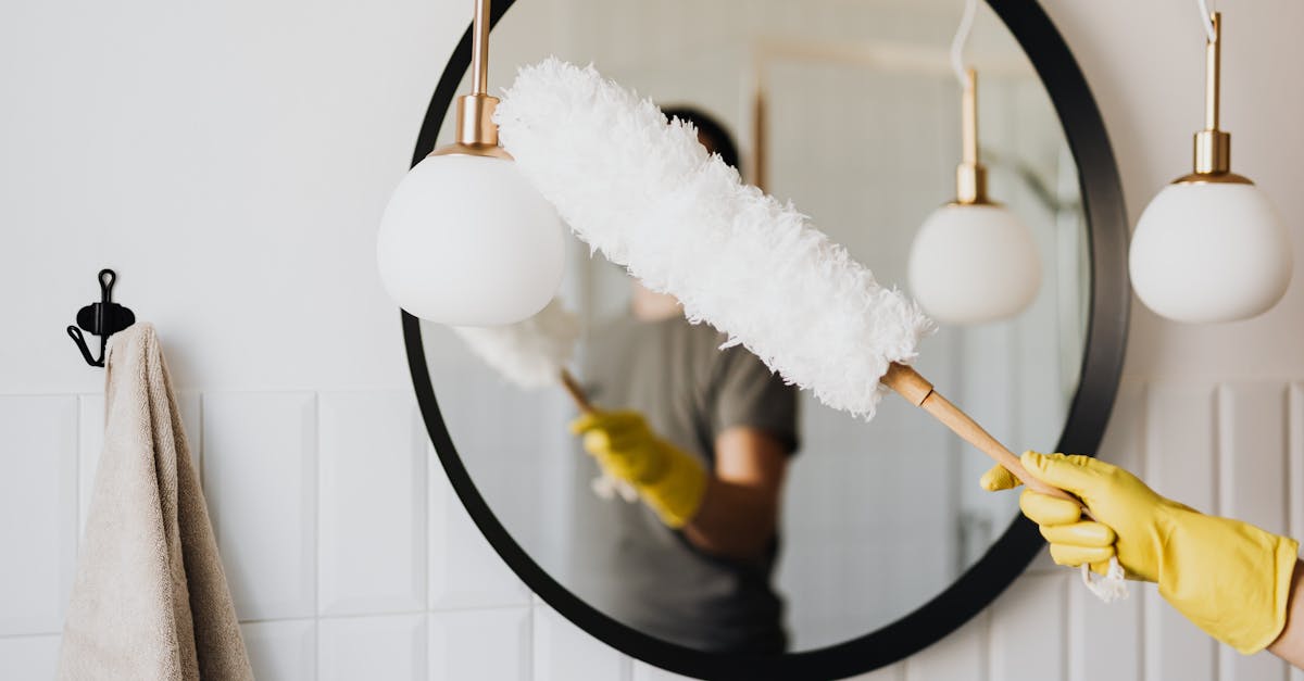 découvrez nos services de nettoyage professionnels pour un intérieur éclatant de propreté. que ce soit pour des bureaux, des maisons ou des locaux commerciaux, notre équipe garantit un nettoyage en profondeur, une qualité impeccable et une satisfaction client à 100%. optez pour une solution de nettoyage sur mesure et laissez-nous transformer votre espace.