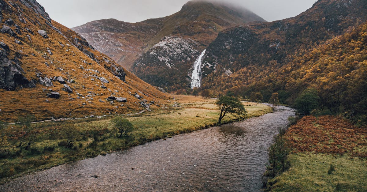 découvrez elf tours, votre passerelle vers des aventures inoubliables au cœur de paysages enchanteurs. explorez des destinations uniques, profitez d'un service personnalisé et vivez des expériences magiques qui marqueront vos souvenirs de voyage.