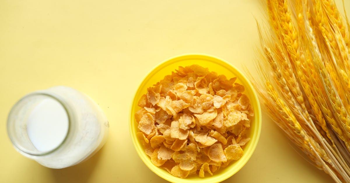 découvrez l'importance des nutriments essentiels pour votre santé et votre bien-être. apprenez comment ces éléments fondamentaux soutiennent le fonctionnement de votre corps, favorisent une nutrition équilibrée et renforcent votre vitalité au quotidien.