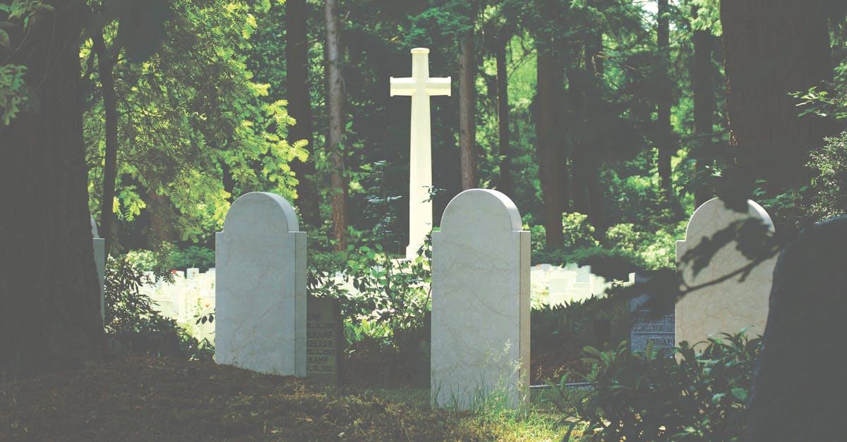 découvrez comment le deuil, ou grief, influence nos émotions et notre quotidien. explorez des conseils pour traverser cette période difficile et trouver la paix intérieure.