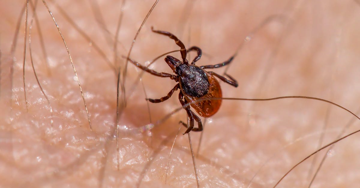 découvrez les modes de transmission de l'herpès, ses symptômes et les conseils pour prévenir sa propagation. informez-vous sur cette infection virale fréquente et apprenez à protéger votre santé.