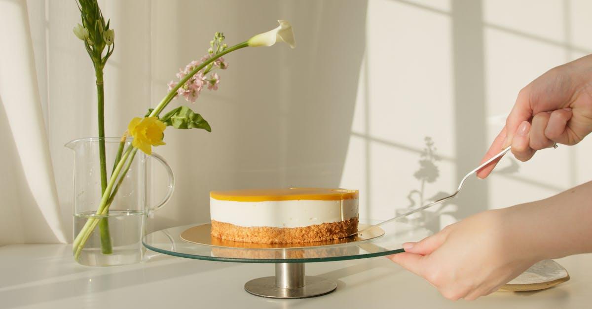 découvrez les différences entre la purée maison et la purée commerciale : saveurs, ingrédients, nutrition et astuces pour choisir la meilleure option pour vos repas. apprenez à préparer votre propre purée pour un goût authentique et savoureux!