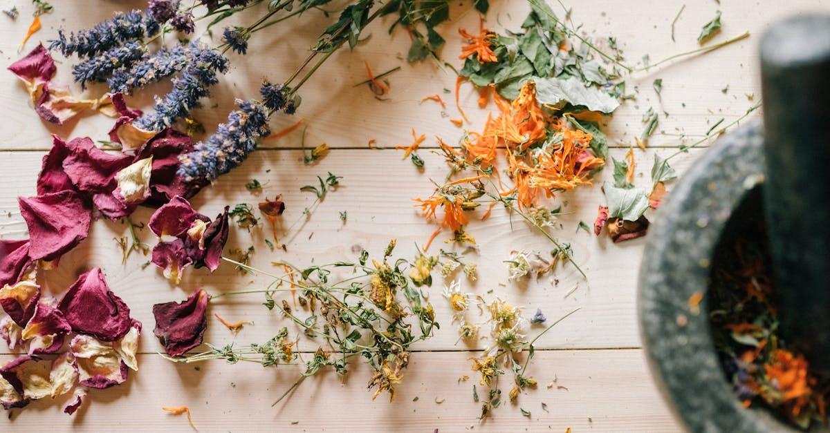 découvrez les bienfaits de l'homéopathie, une approche douce et naturelle pour soulager divers maux et promouvoir le bien-être. explorez nos conseils, traitements et remèdes homéopathiques adaptés à vos besoins.