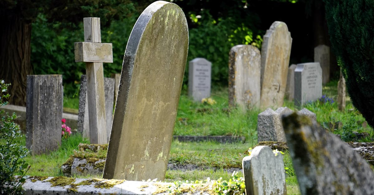 découvrez les différentes facettes du deuil, un processus délicat et émotionnel. apprenez à comprendre vos sentiments, à honorer la mémoire des êtres chers perdus et à trouver du réconfort dans cette période difficile.